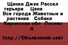 Щенки Джек Рассел терьера  › Цена ­ 15 000 - Все города Животные и растения » Собаки   . Кировская обл.,Лосево д.